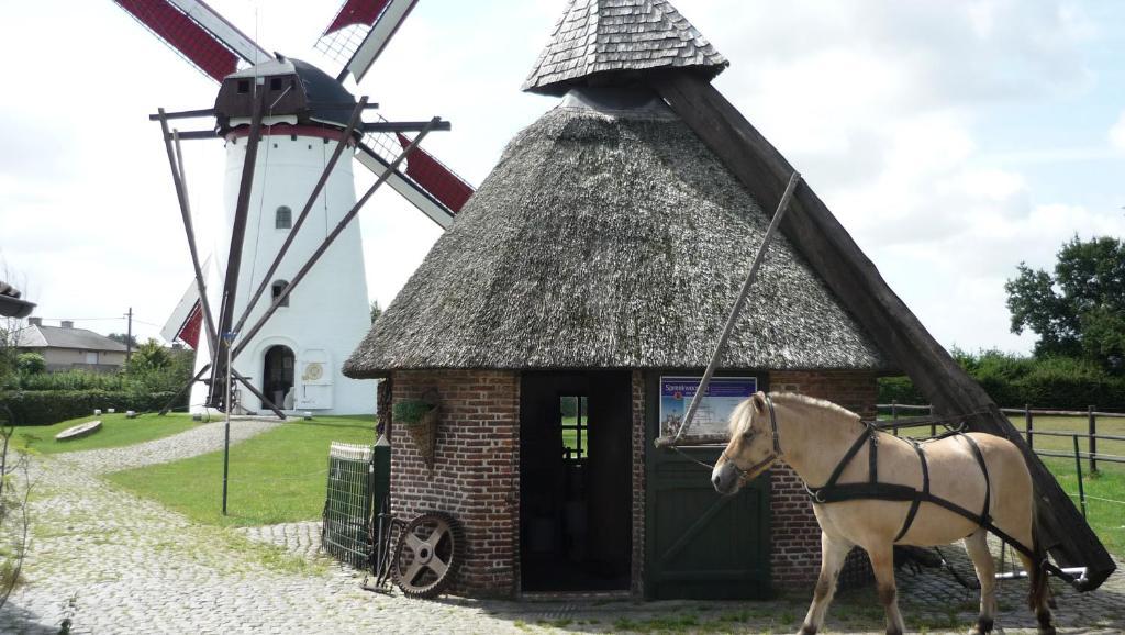 De Rosmolen Villa Ertvelde Bagian luar foto